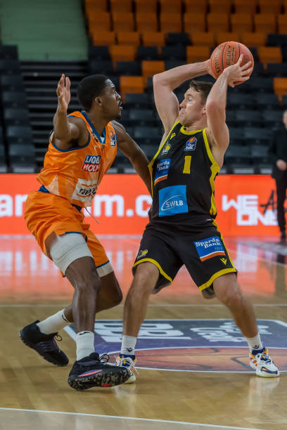 开花结果 开花结果